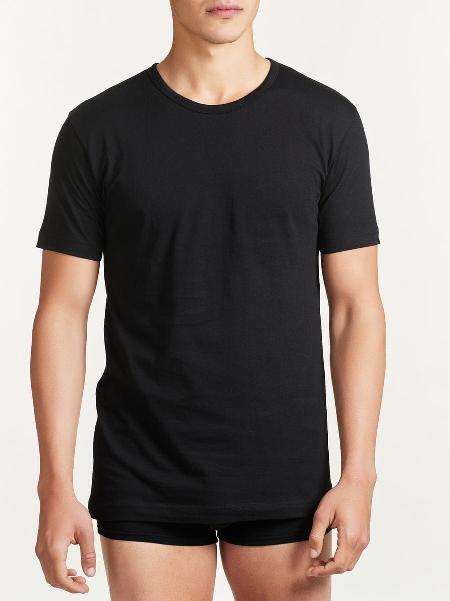T-shirt uomo Ragno in 100% cotone girocollo confezione da 2 pezzi - immagine 4