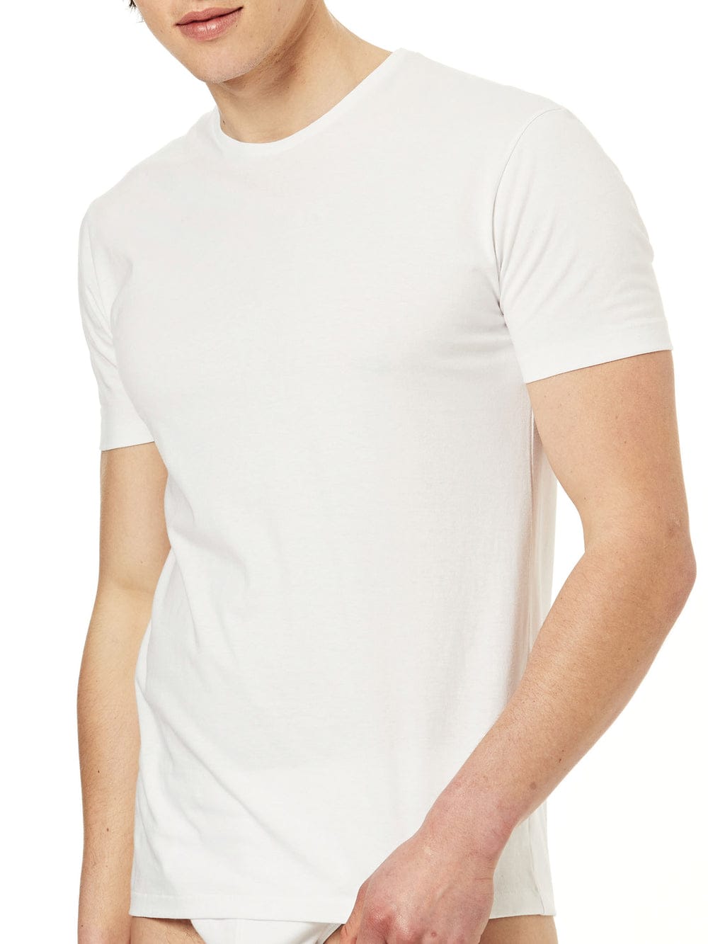 T-shirt uomo Ragno in 100% cotone girocollo confezione da 2 pezzi - immagine 5